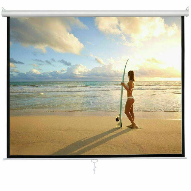 Segawe 119" Manual Screen-H011415GSD2012