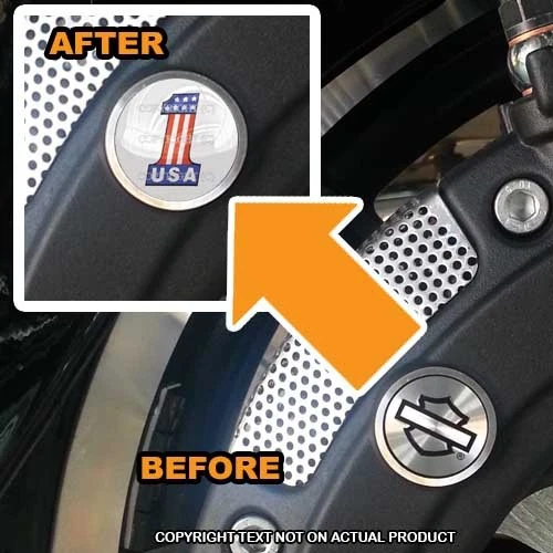 Juego de inserciones de pinza de freno delantera Brembo para Harley - EE. UU. N.º # 1 BLANCO - 065 Foto 1 de 1