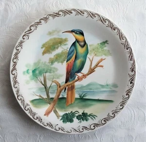 RARE VINTAGE HAND PAINTED RICHARD GINORI PORCELAIN TROPICAL BIRD PLATE 1948 - Picture 1 of 6