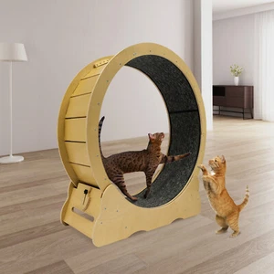 12 Zoll Breite Große Katze Heimtrainer Holz Katze Laufband Laufrad Silent Cat - Bild 1 von 14