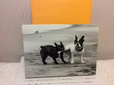 AVANTI ANNIVERSARY GREETING CARD New w/Envelope "I Love You...and I'm not...." - Image 1 of 2