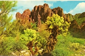 Postcard Chrome Superstition Mountain AZ Jumping Cactus Petley P1764 - Picture 1 of 2