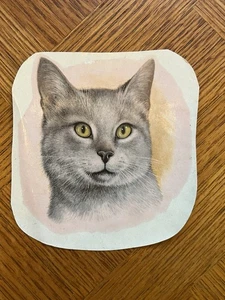 Vintage 1970s Cat Decal Transfer Kitty Kitten Cute Gray - Picture 1 of 4