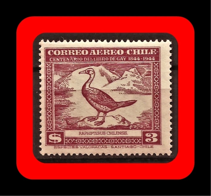 FAUNA, PATO RAPHIPTERUS CHILENSIS, LIBRO CLAUDIO GAY, MNH, CORREO AÉREO, 1948 Foto 1 de 1