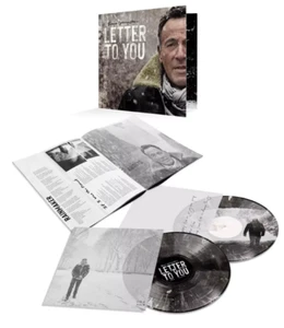 BRUCE SPRINGSTEEN 33 RPM 12" Letter To You 2 LP album WHITE SPLATTER VINYL BIN - Picture 1 of 6