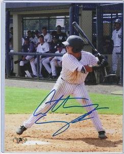 Brewers Yankees Catcher Anthony Seigler Baseball Signed 8x10 Photo (MAB) Gators - Picture 1 of 3