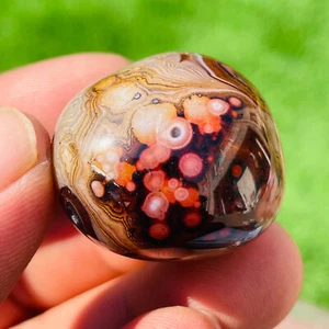 32g Natural Gobi Agate Eye Agate Banded Agate Crystal Healing Collection - Foto 1 di 7
