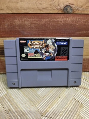 Harvest Moon Super Nintendo (SNES) Auténtica, Probada, Funda Protectora Transparente Foto 1 de 4