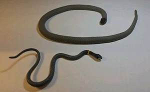 Lot of 2 hard plastic Ring-Necked & soft plastic Western Black-Headed Snakes - Picture 1 of 10