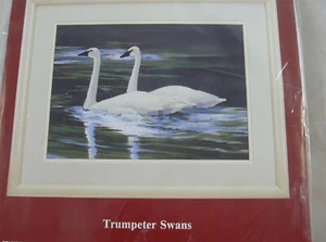 Trompeter Swans Crewel Stickerei KIT Vögel Wildtiere Nadel Schätze 12x16" - Bild 1 von 5