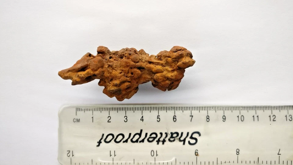 41g Turtle Coprolite Fossil Poo/Faeces From Madagas Eocene 40 Million Y O. - Image 1 of 1