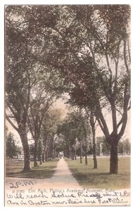 Hand Colored 1907, Elm Arch, Philip's Academy, Andover, Massachusetts Postcard - Picture 1 of 2