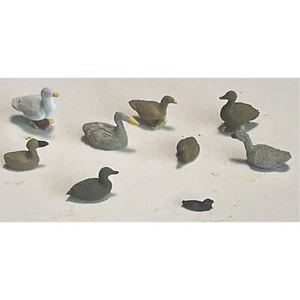 Cisnes pintados varias poses x calibre 8 OO Langley F123B - Imagen 1 de 3