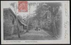 Indochina PPC 1905 Cochin China Landscape - Picture 1 of 2