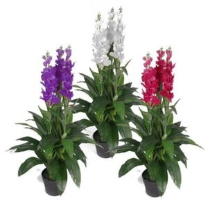 Plantas de orquídeas grandes artificiales - maceta lista para exhibición por diseño de hojas - Imagen 1 de 26