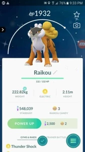 Pokémon Shiny Raikou GO - Picture 1 of 2