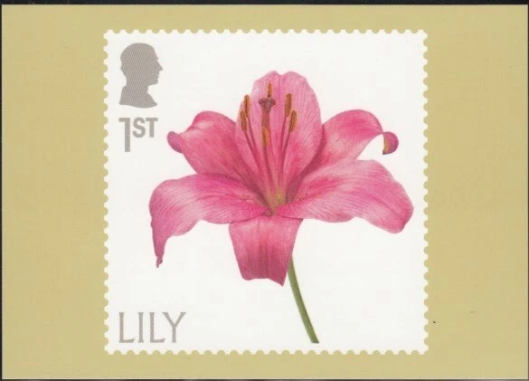Tarjeta PHQ Flowers Lily Royal Mail GRAN BRETAÑA Foto 1 de 1