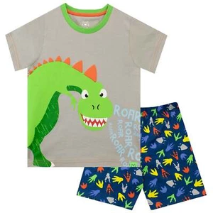 Short PJs Short Pyjama Set Kids Boys 18 24 Months 2-8 Years PJs Green Dinosaur - Picture 1 of 7