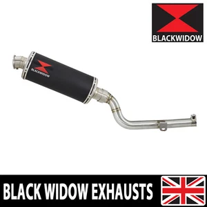 CRF300 L RALLY Exhaust Silencer End Can Oval Black Stainless Steel 300BS - Picture 1 of 7