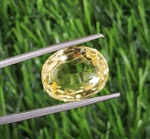 9,84 Karat einwandfrei AAA Ceylongelb Saphir oval geschnitten Labor gewachsen locker Edelstein - Bild 1 von 7