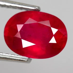 2,45 quilates Piedras Preciosas Naturales Rubí Top Rojo Ovalado Madagascar ¡Hermoso Color Brillante! - Imagen 1 de 7