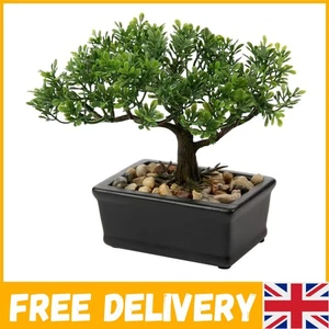 Realistic Mini Bonsai Plant in Ceramic Pot - Perfect for Home & Office - Picture 1 of 9