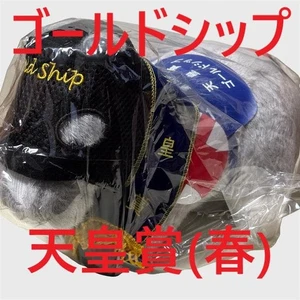 Gold Ship Idol Pferderennen Plüschtier AVANTI Uma Musume Neu L4 - Bild 1 von 1