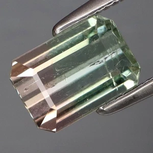 1,60Ct. Hinreißender zweifarbiger (grün & rosa) Turmalin Mosambik perfekte Form - Bild 1 von 4