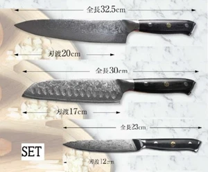 ISSIKI Damascus Kitchen knife Set Chef's Santoku Petty Stainless VG10 Japan - Picture 1 of 12