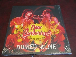 KEITH RICHARDS & RON WOOD NEW BARBARIANS LIVE IN MARYLAND BURIED ALIVE 3 LP BOX - Picture 1 of 2
