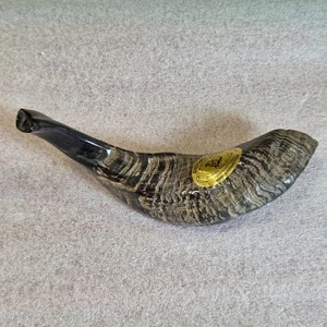 Barsheshet & Ribak Shofarot Israel Kosher Rams Horn 9 inch - Picture 1 of 3