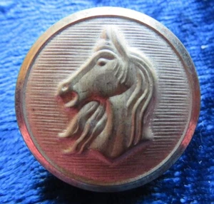 8 Equine Theme Brass Tone Metal Buttons 4/22 mm 4/18 mm - Picture 1 of 3