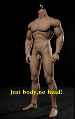 TBLeague PL2015M30 1/6 MUSCULAR MAN Male PHICEN Suntan Seamless Figure Body w/JJ - Image 1 of 4