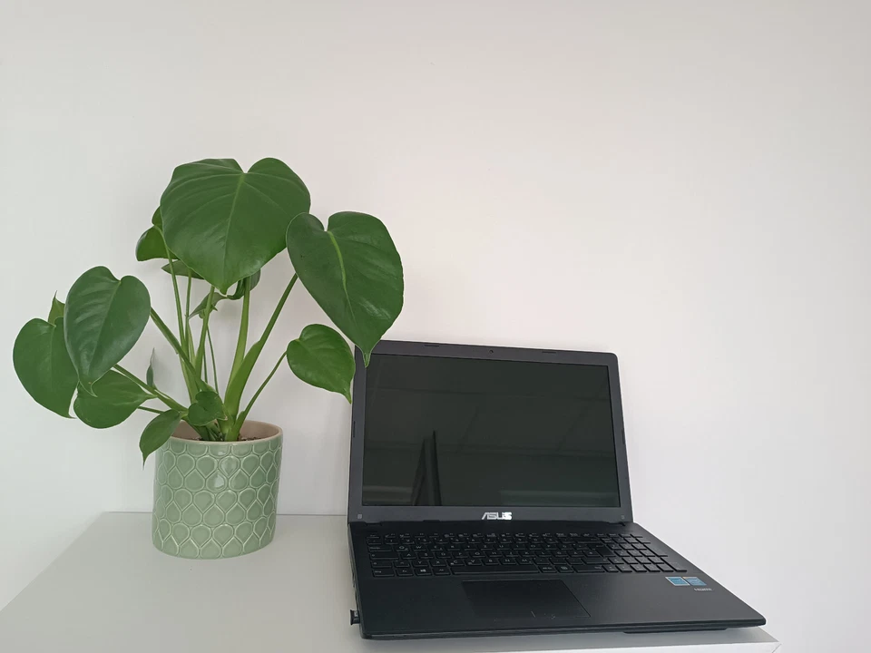 Kein Windows 11 Upgrade? Asus Laptop mit Linux sicher und schnell *neu* machen - Bild 1 von 4