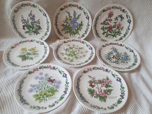 Royal Worcester Limitierte Auflage Kräuter Sammler Teller 7,5" x 8 - Bild 1 von 6