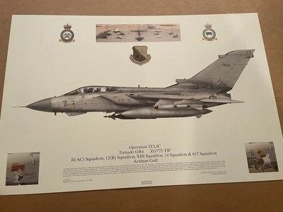 Tornado GR4 Operation Telic Arabian Gulf 379th AEW ZG775 “FB” Squadron Prints - Image 1 of 4