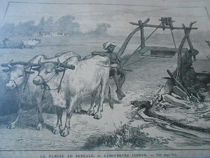 Gravure 1874 - La Famine au Bengale Laboureurs Indous - Imagen 1 de 1