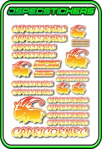CAPRICORN RC STICKER A5 LAB 1/8 F1 1/10 TESLA ELECTRIC NITRO CAR HARD YEL RED W - Picture 1 of 9