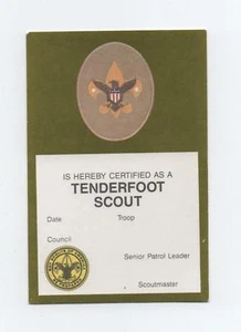 Tenderfoot Rank Card (rilasciata 1997), verde oliva su carta bianca, nuova di zecca! - Foto 1 di 2