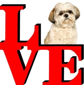 Lindo imán refrigerador para automóvil Shih Tzu para refrigerador para perro - Imagen 1 de 6