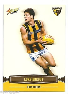 2013 Champions (115) Luke BREUST Hawthorn - Picture 1 of 1
