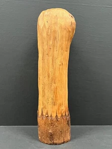 CAVED WOOD TAKAN WOOD CACTUS PAPERMACHE MOLD #S - Picture 1 of 10