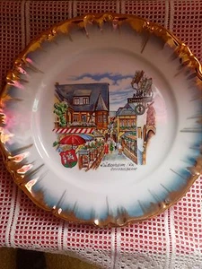 Assiette murale porcelaine Winterliug schwarzenbach, bavaria Germany, RUDESHEIM - Picture 1 of 3