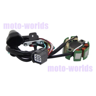 Generador de estator para Kawasaki KX250F 2004-2010 21003-0015 21003-0048 21003-0027 Foto 1 de 4