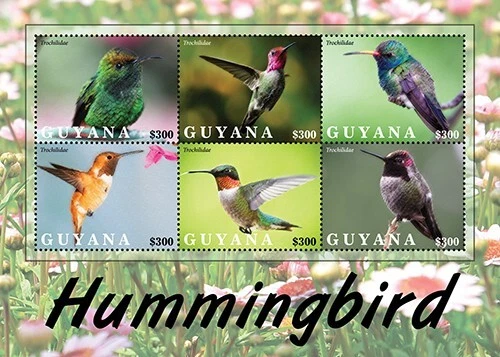 Guyana 2021 - Hummingbirds - Sheet of 6 Stamps - Scott #4669 - MNH - Image 1 of 1