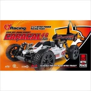 CARACAL GP Buggy RTR #7568310 (RC-WillPower) MING YANG - Foto 1 di 5