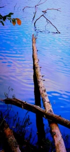 Digital Image Picture Photo Wallpaper Background Desktop Art Landscape Log Cross - Picture 1 of 2