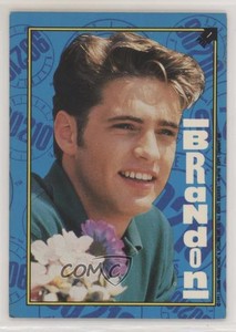 1991 Topps Beverly Hills 90210 Stickers Brandon Walsh #1 0u7