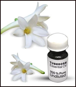 Tuberose Essential Oil 100% Pure Undiluted (10ML-500ML) - Picture 1 of 1