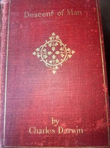 The Descent of Man and Selection in Relation to Sex, 2e,Charles Darwin, 1874 - Picture 1 of 12